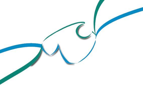 Mallorca Creativa Logo